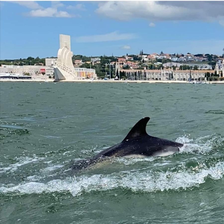 Tejo House River Lisbon Алмада Екстер'єр фото